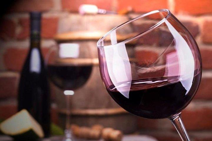 Mendoza Wine Route En heldags privat utflykt