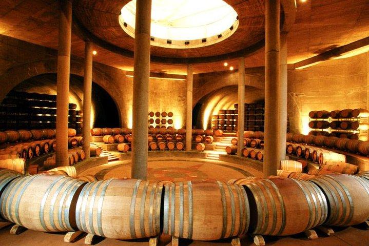 Mendoza Wine Route En heldags privat utflykt