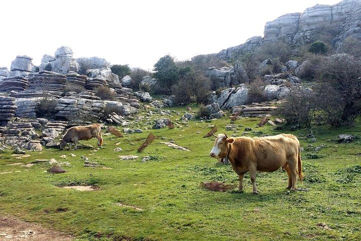 Sentiero privato a El Torcal da Marbella o Malaga