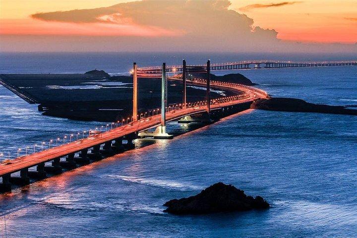 Excursão privada em Shanghai Donghai Bridge and Yangshan Port