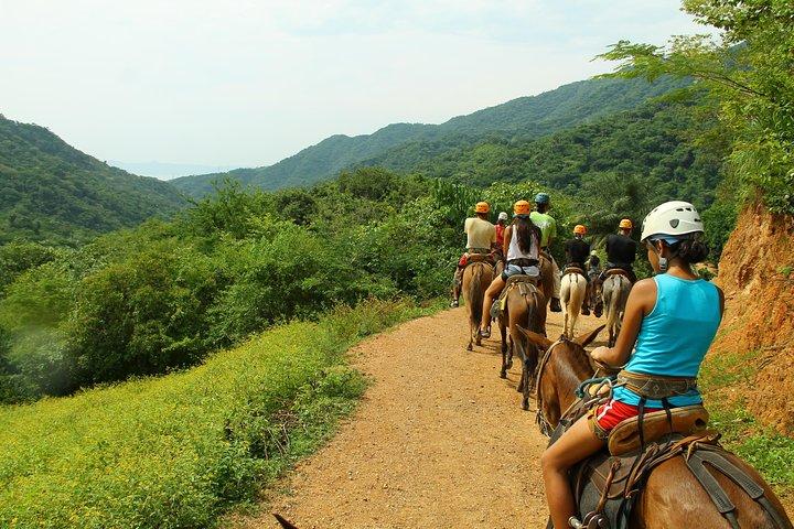 Rio Park Zipline Tour e Mule Ride