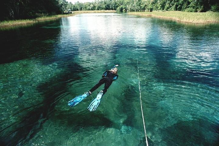 Snorkel The Amazing Rainbow River Florida