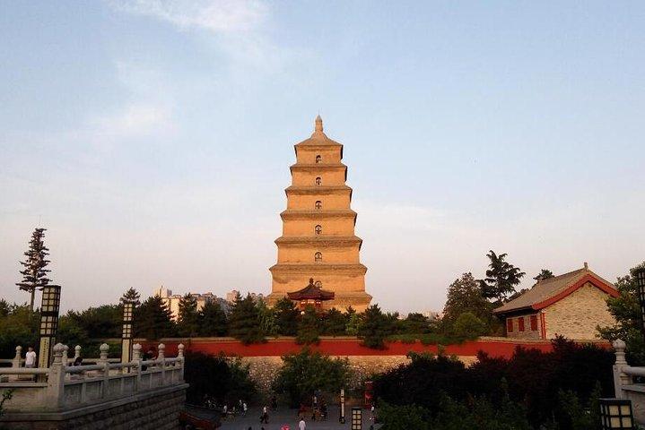 Halbtagestour durch das Shaanxi History Museum und die Big Wild Goose Pagode in Xi'an