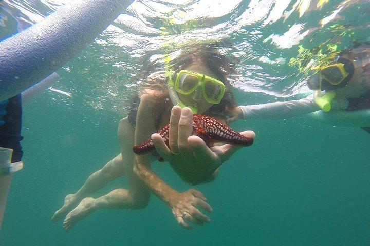 ATV e Snorkel da Playa Flamingo