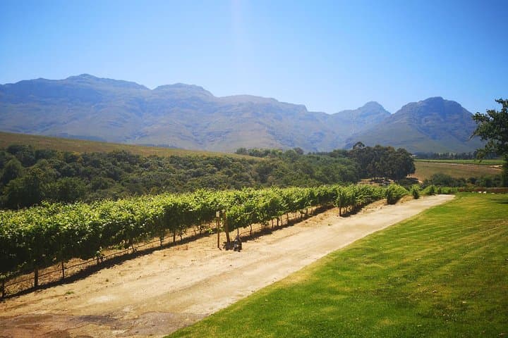 Private Cape Winelands Tour from Cape Town
