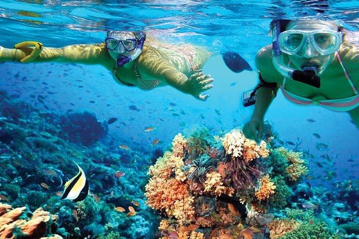 シュノーケリング、ランチ、オープンバー付きの素晴らしいムヘーレス島ツアー