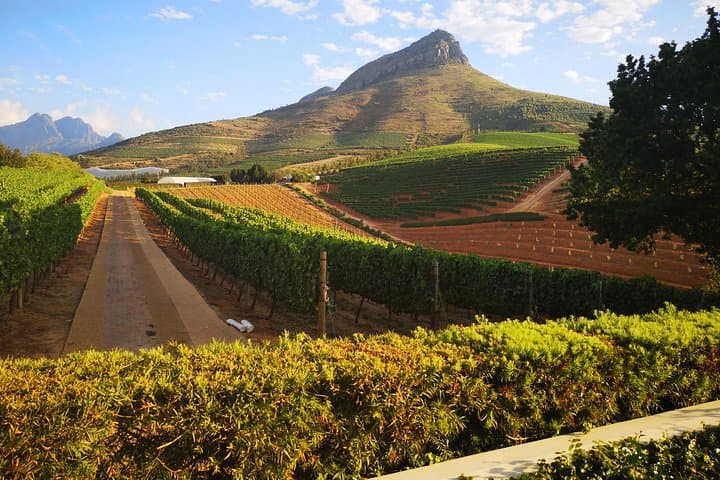 Private Cape Winelands Tour from Cape Town