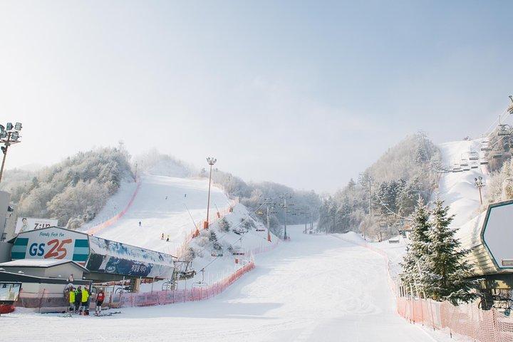 Excursion privée de ski (cours) près de Séoul au complexe touristique Elysian Gangchon