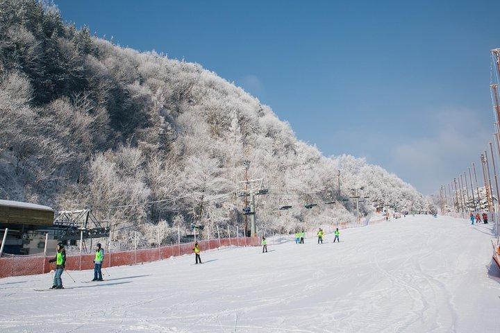 Excursion privée de ski (cours) près de Séoul au complexe touristique Elysian Gangchon