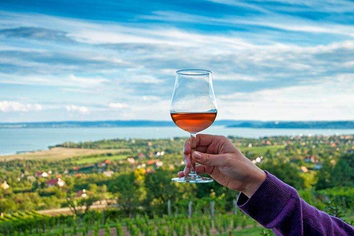 Balatonsjön Heldags privat vintur