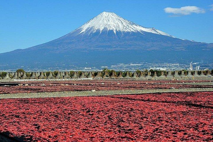 東京からチャーター便で行く、1日のプライベート富士山ツアー
