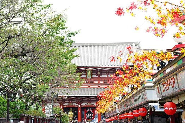 Private Tokyo Custom Full-Day Tour by Chartered Vehicle