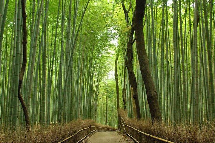 Privat Kyoto Arashiyama Custom Half-Day Tour af Chartered Vehicle