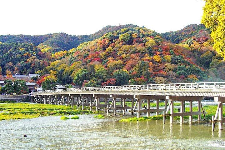 Visite privée d'une journée d'Arashiyama à Kyoto par véhicule agréé