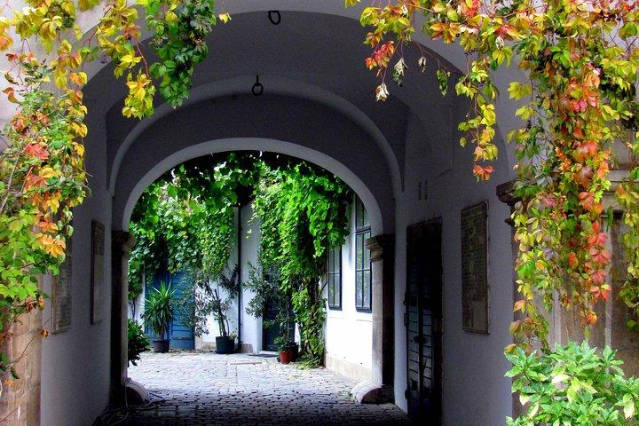 Gemas ocultas en Viena un paseo privado por la ciudad interior