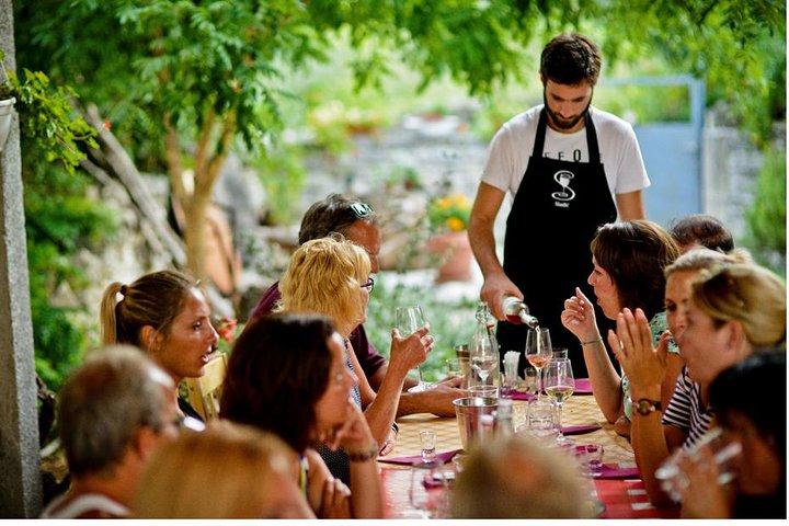 Voyage privé à NP Krka & Wine testing & Primosten de Split