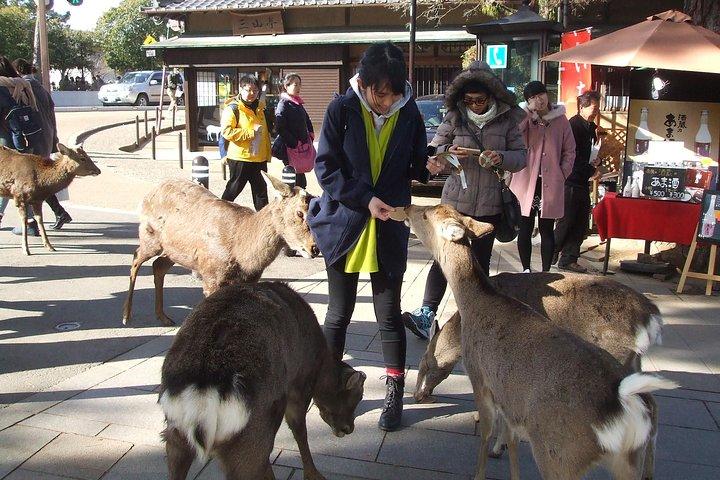 Explorer Nara