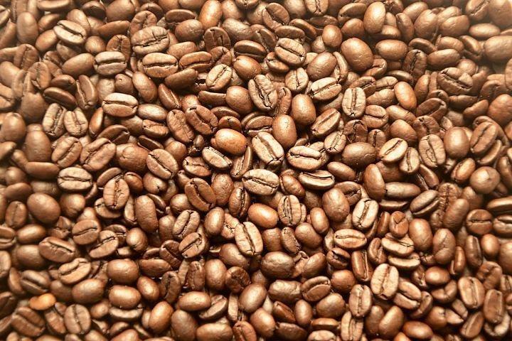 ナイロビのコーヒー農場への日帰りツアー