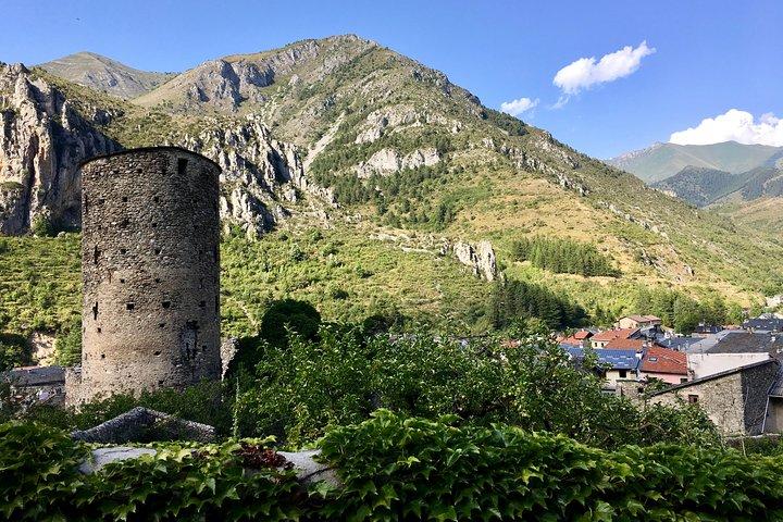 Meraviglie naturali e artistiche delle Alpi: tour privato culturale