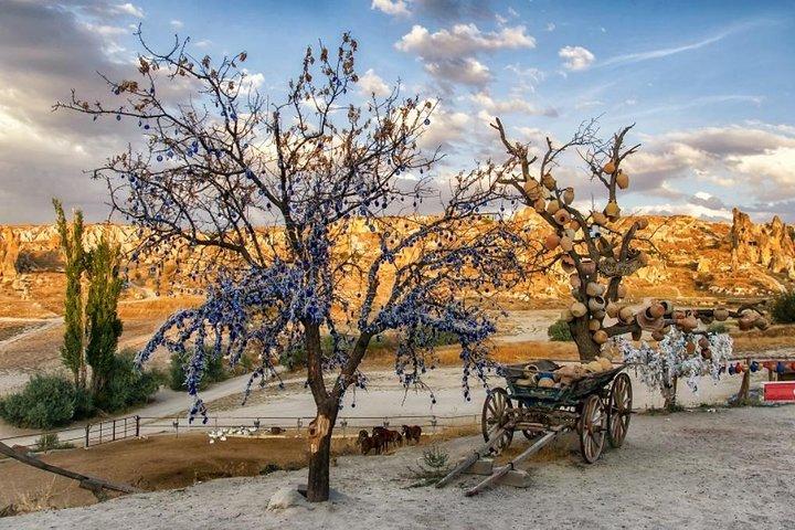 Cappadocië-tour met kleine groep: Devrent Valley, openluchtmuseum van Goreme