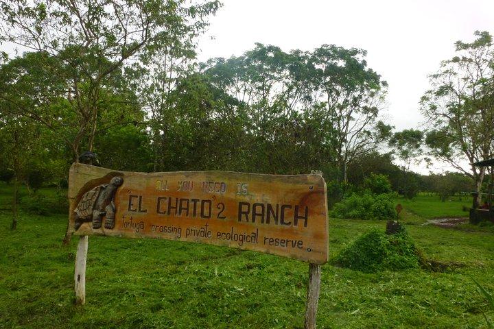 Saltafila: biglietto d'ingresso alla Riserva di El Chato 2 a Santa Cruz Island, Galapagos