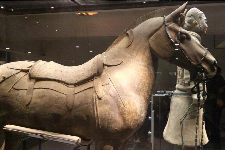 Excursão Privada de Meio Dia ao Museu de Guerreiros e Cavalos de Terracota de Xi'an