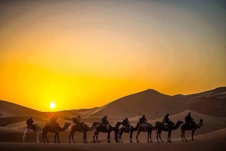 Excursão de meio dia pela cidade de Jaisalmer visite Sunset by Camel Ride com jantar