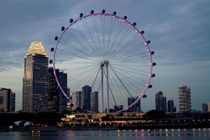 Tour privado: Museo Nacional de Singapur y Singapore Flyer and Ducktour