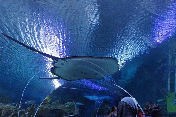 プライベートツアー：クアラルンプールシティハイライトとバトゥーケイブデーツアー
