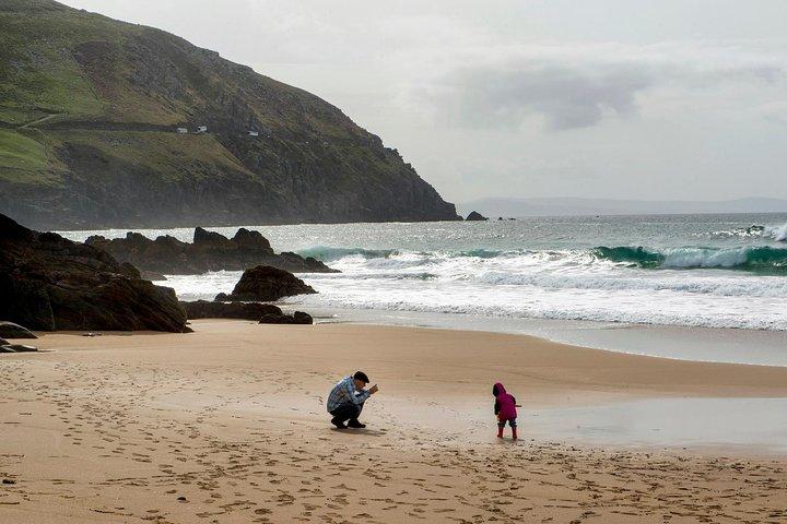 Dagtour naar het Dingle Peninsula vanuit Limerick : De Wild Atlantic Way