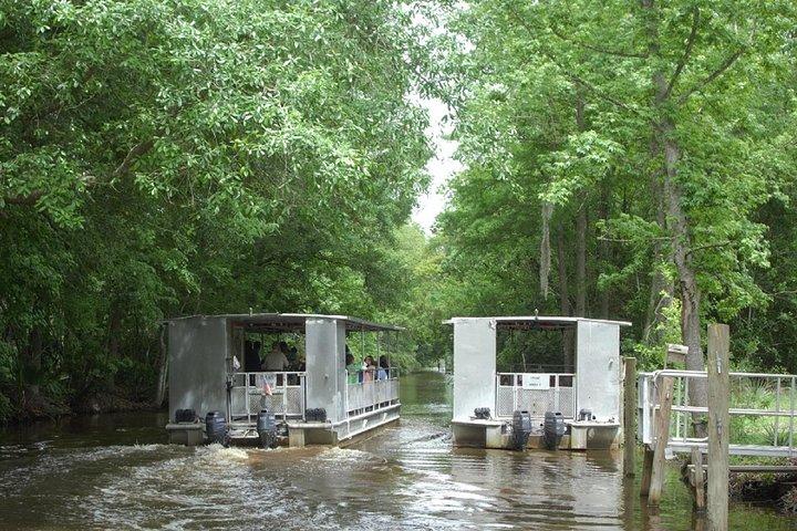 Jean Lafitte 90-minutters sump- og Bayou-bådtur