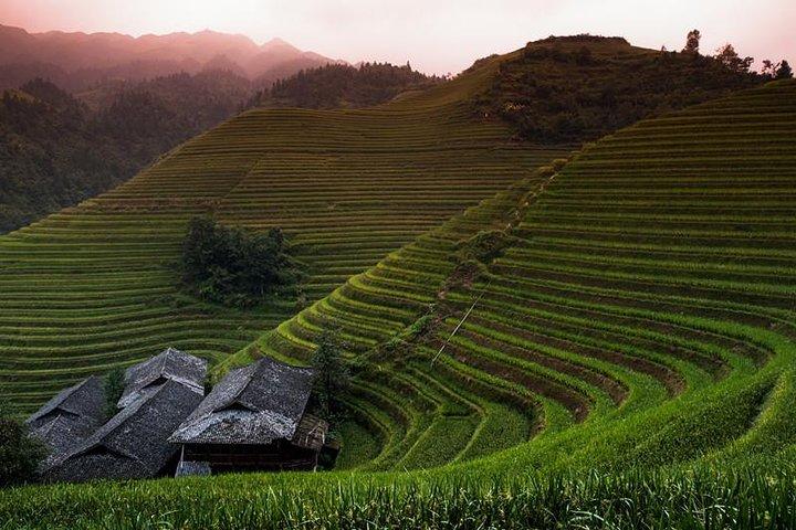 Mini Group: Longji Rice Terraced Fields og Minority Villages Tour