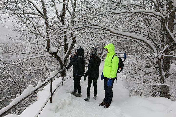 Viagem de um dia a caminhadas privadas com paisagem congelada em Plitvice Lakes a partir de Zagreb