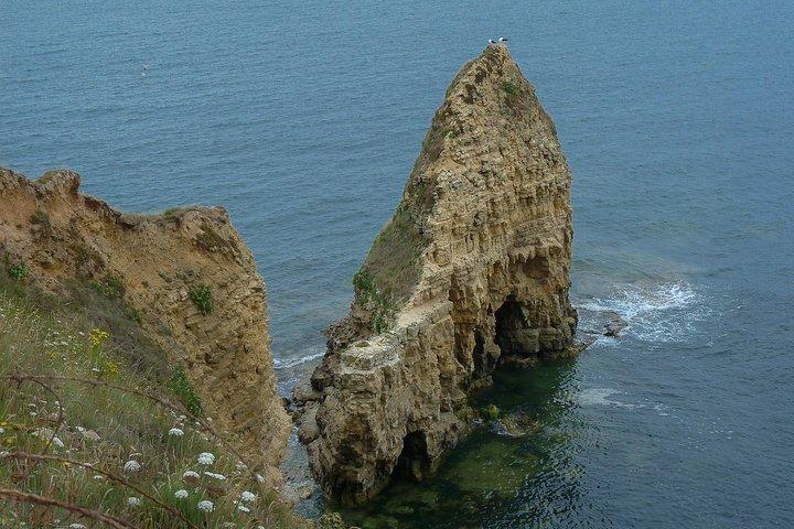 Normandy D Day Landing Customized Private Tour from Paris