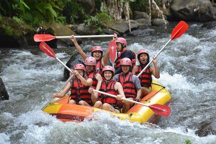 ウブドのAyung River Half-Day White Water Rafting Bali