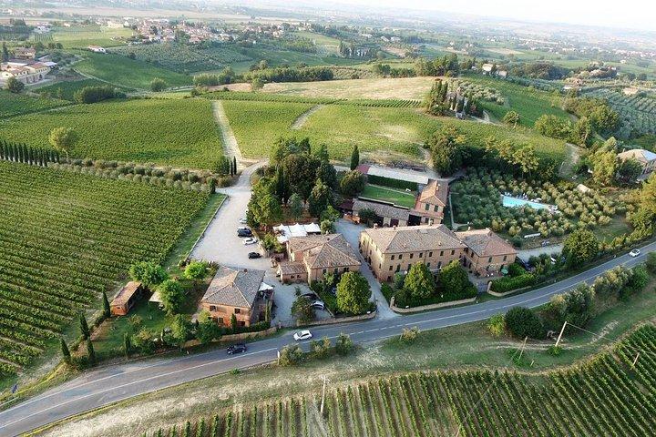Tour privado por la Toscana desde Roma Montepulciano y Pienza