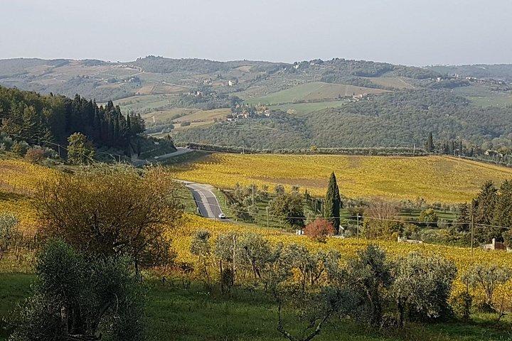 Tour privado por la Toscana desde Roma Montepulciano y Pienza