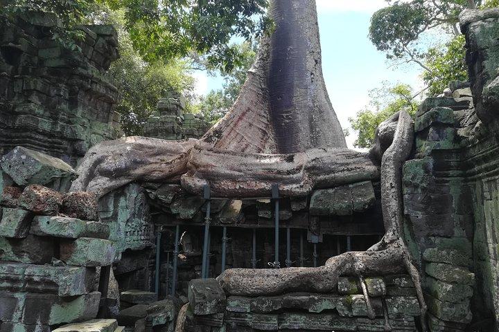 Angkor Wat Small Circuit Tour