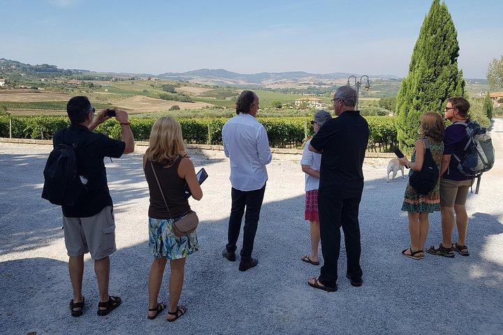 Tour privado por la Toscana desde Roma Montepulciano y Pienza