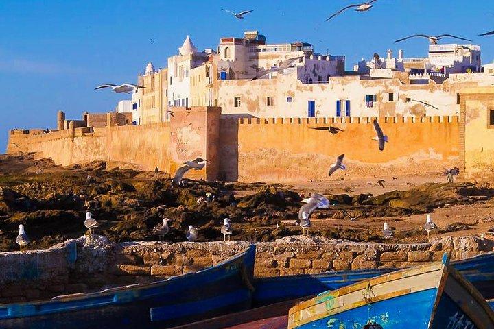 Excursion : Full Day Trip to Essaouira Mogador from Marrakech