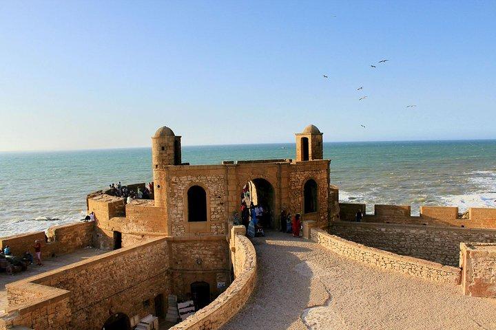 Excursion : Full Day Trip to Essaouira Mogador from Marrakech