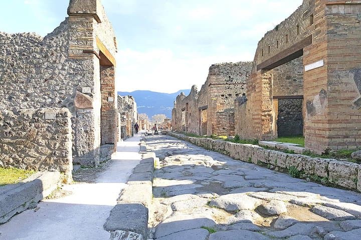 Skip-the-Line Pompeii & Volcano Vesuvius Day Tour w Hotel or Port Pickup