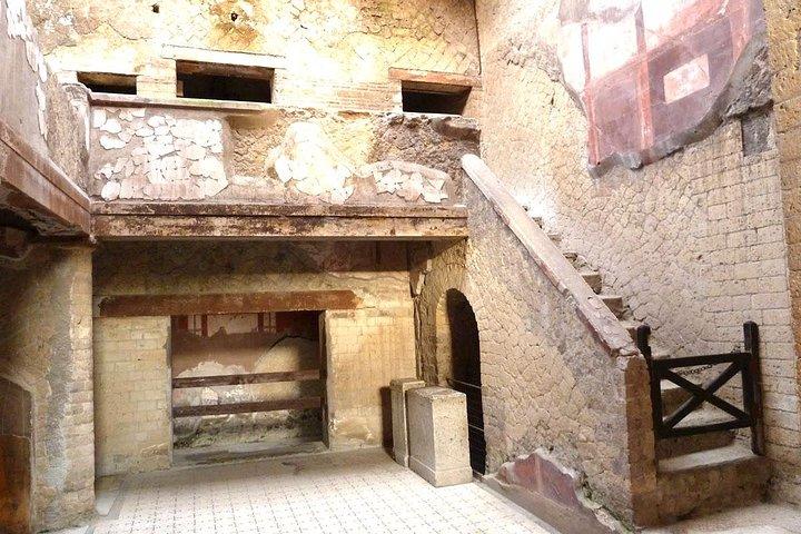 Survol de la visite privée d'une demi-journée d'Herculanum avec le guide local