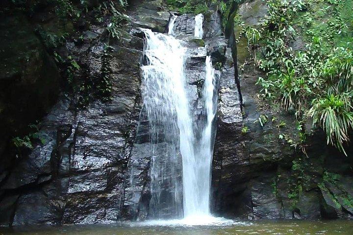 Tour delle cascate di Horto Waterfalls Tour nel parco nazionale di Tijuca