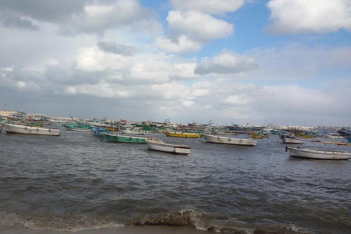 Explore o tesouro de Alexandria com guia particular, transporte e almoço