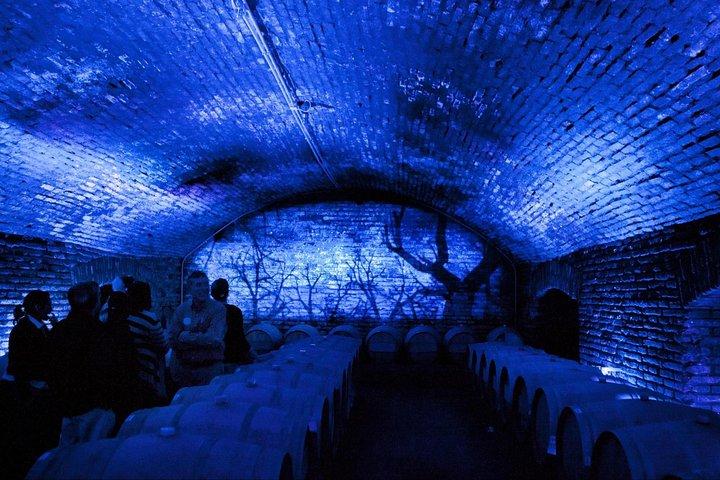 Kleine Gruppe Maipo Vineyards Ganztägige Erfahrung mit optionalem Mittagessen