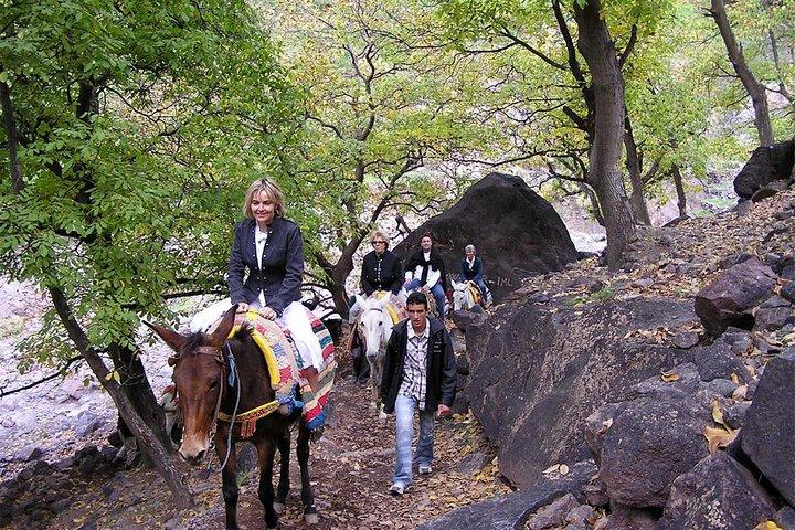 Private Day trip from Marrakech to Imlil & the atlas mountains