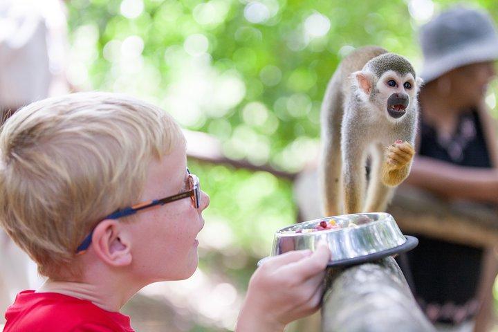 Aventura de Monkeyland e tirolesa de Puerto Plata