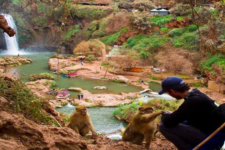 Excursion : Full Day Trip to Ouzoud waterfalls From Marrakech