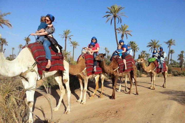 Top Activities: Sunset Camel Ride in the Palm Grove of Marrakech